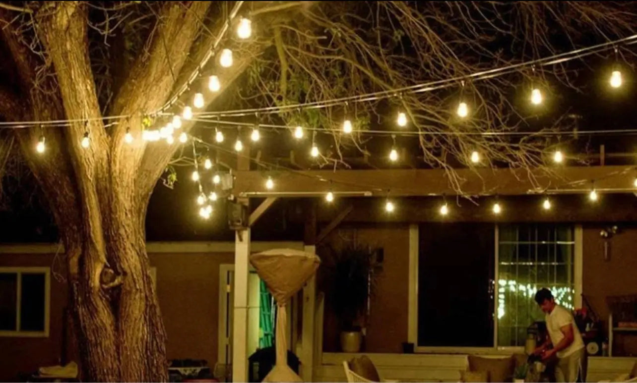 Festoon Lights │ Hire │ The Island Collection Island Collection Waiheke